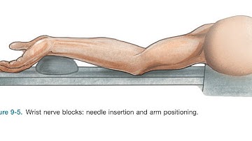 Wrist Block : Anatomy & Landmark Technique
