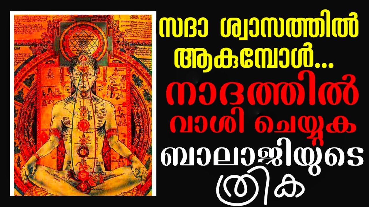 ബാലാജിയുടെ മുഖത്തെ ത്രിക l നാദത്തിൽ വാശി ചെയ്യുമ്പോൾ l ഇങ്ങനെയും ഇവയിൽ രഹസ്യങ്ങളോ l അവിശ്വസനീയം l