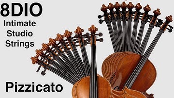 Intimate Studio Strings by 8Dio - Demo of all the presets: Traditional Pizzicato (2022)