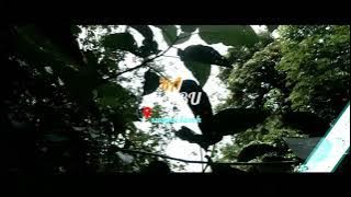 story wa cinematic 15 detik