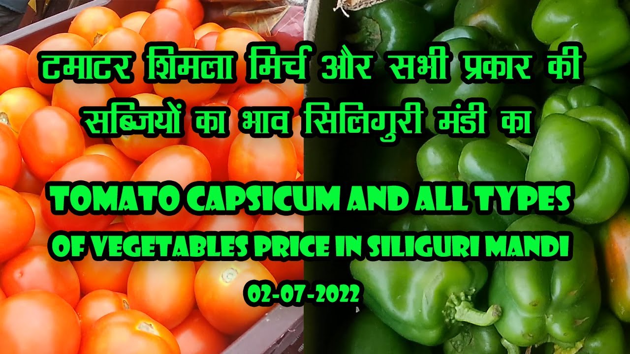 vegetable price in siliguri Vegetables Price in Darjeeling YouTube