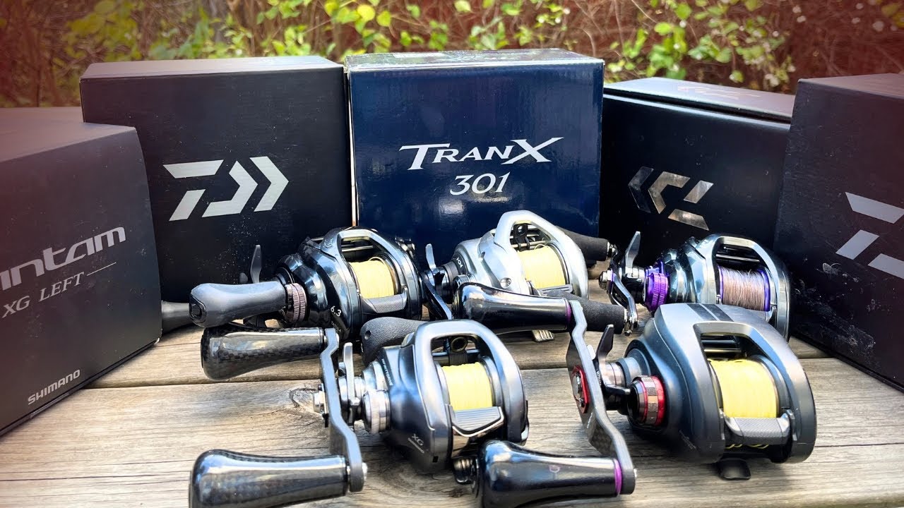 Swimbait Series 2024 | Part 1 REELS