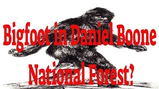 Bigfoot in the Forest - Bigfoot in Daniel Boone National Forest