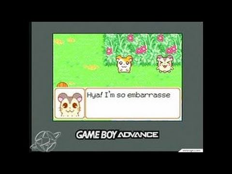 Hamtaro: Ham-Ham Heartbreak Game Boy Gameplay