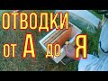 Отводки от А до Я. Формирование и развитие.Как быстро увеличить пасеку.