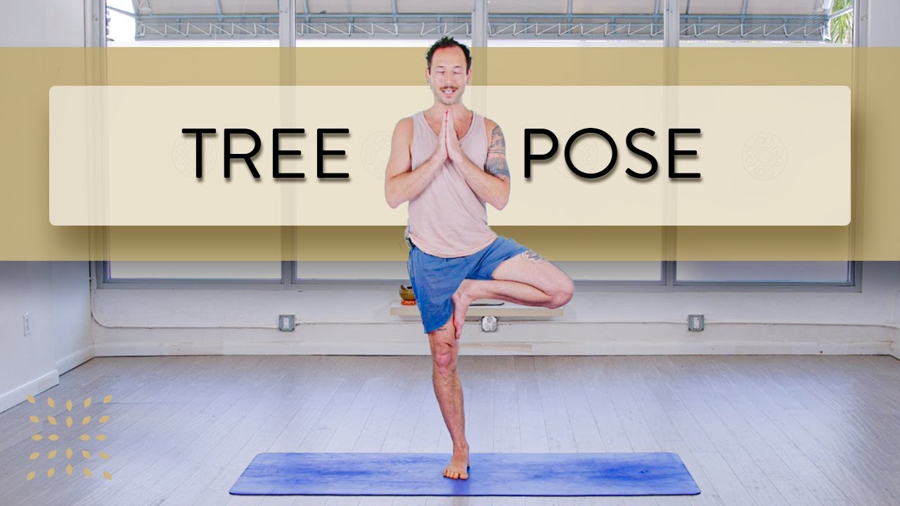 Asana Focus: Tree Pose — SEEK Yoga & Travel