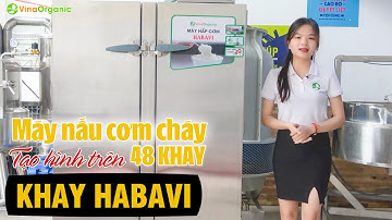 Máy nấu cơm cháy 48 khay, nấu cơm tạo hình trên khay Habavi