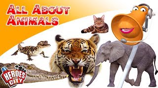 all about animals heroes of the city educational and fun learning