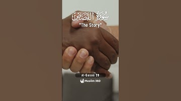 Surah Al-Qasas 28 | Hindi - Urdu Audio translation | سورة القصص #alqasas #hindi #urdu
