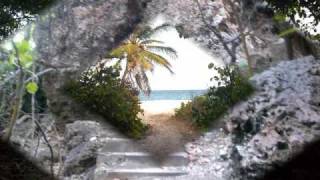 HEAVEN ON EARTH - THE  OPELS OF BARBADOS