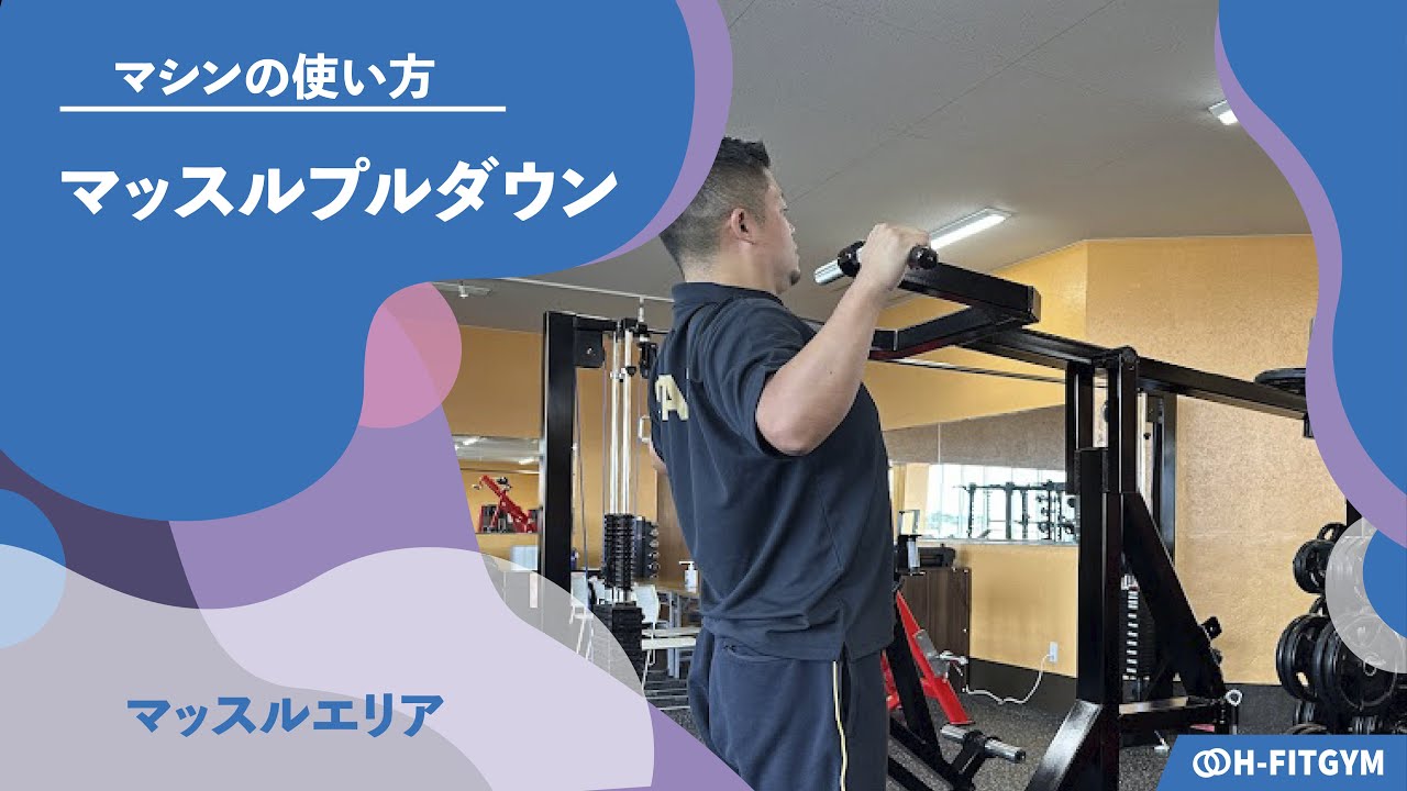 鍛錬マッスルライン　ラットプルマシン 鍛錬マッスルライン ラットプルマシン 【公式通販】