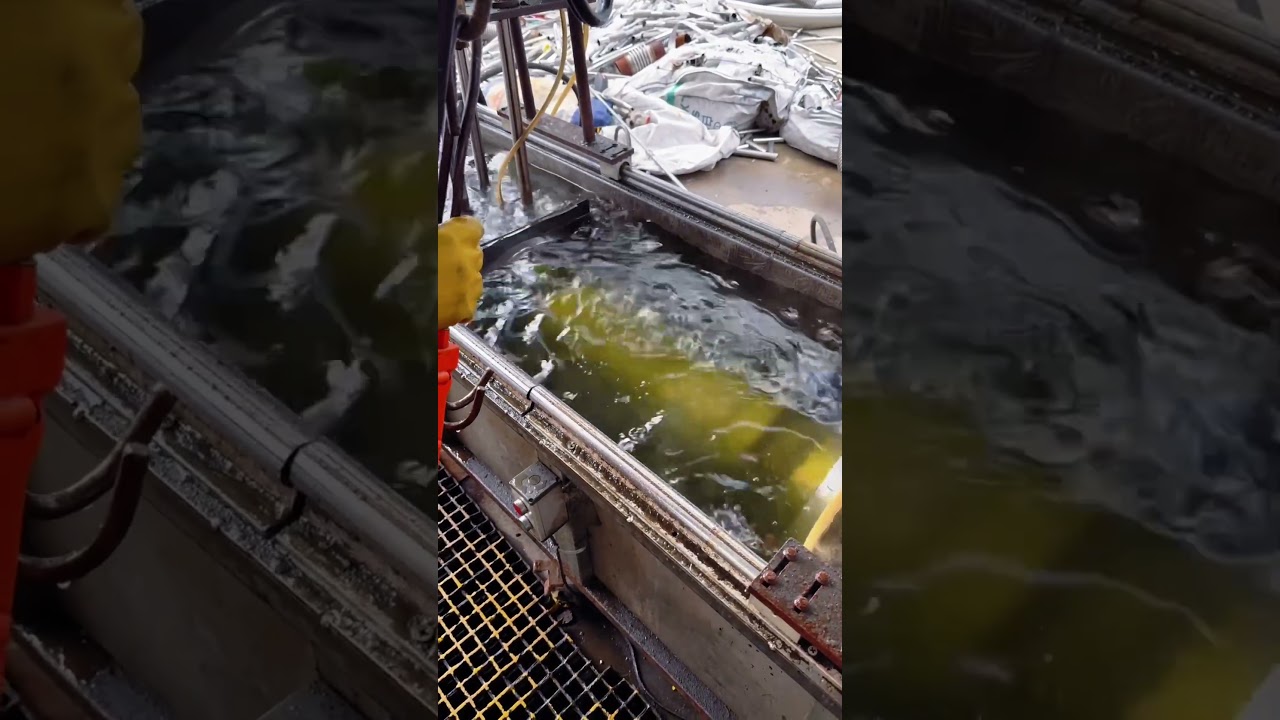 Stainless metal hose 