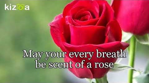 Kizoa Movie - Video - Slideshow Maker: Wishing You Sunflowers & Rainbows