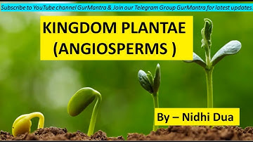 Kingdom Plantae - Angiosperms | Diversity of Life Forms | CSIR NET | GurMantra
