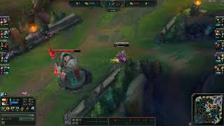 Rammus 1000IQ Flash juke