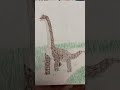 Rawr #dinosaur #brachiosaurus #dino #rawr #jurassicpark #jurassic #drawing #art