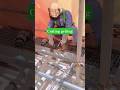 👉 Perfect Pipe Joint Finish 🔥 Grinding & Cutting Trick