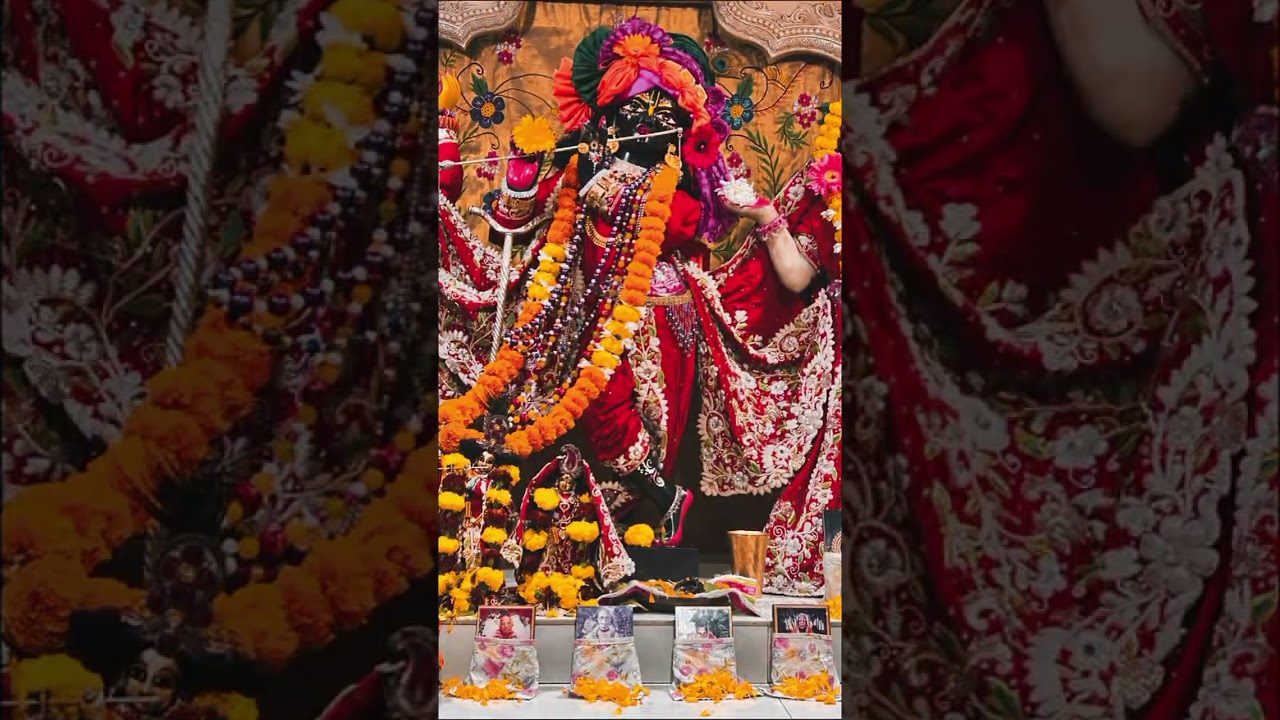 January 31, 2026 Hare Krishna Radhe Radhe 