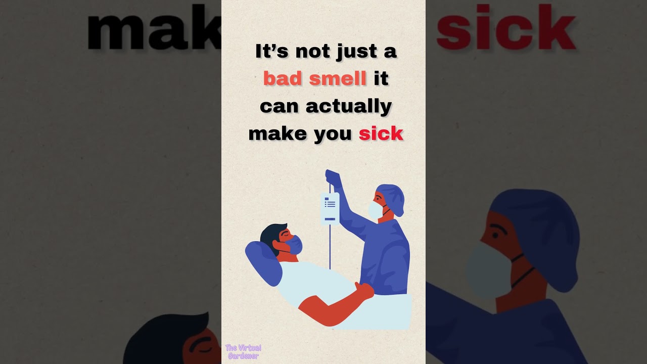 The Scary Truth About Fish Emulsion Fertilizer 🧪☠️