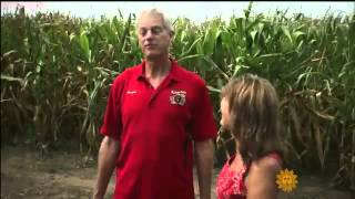Trek Through The World's Largest Corn Maze   CBS Sunday Morning   10 6 13