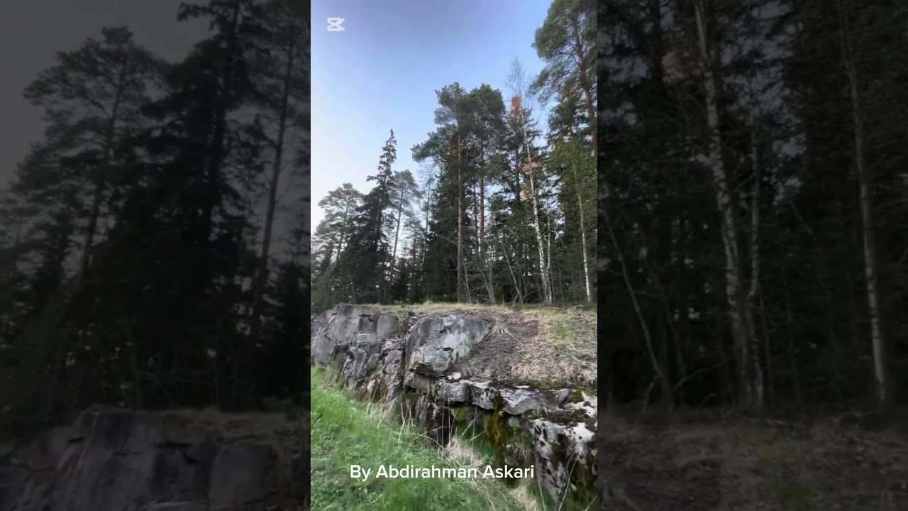 The Somali patriotism song in 1960s by our nation team included our heroes Hees Somali Waddani ah