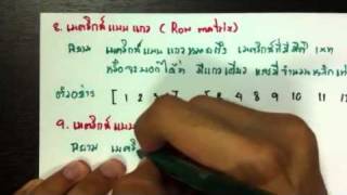 APcen เมตริกซ์ 13