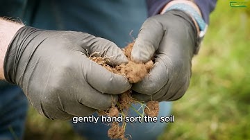 How To Conduct an Earthworm Count