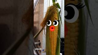 Goodland | The Corn Was Trimmed 🌽 #Goodland #Shorts #Doodles #Doodlesart