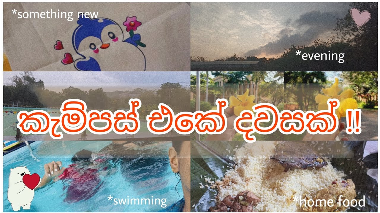 Uni Vlog 13|කැම්පස් එකේ දවසක්|Hostel life| University food|Swimming|Rajarata University of Sri Lanka