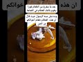 أول مره اعرف ليه أمي كانت بتلم العضم وتحطه في ركن جمب باب البيت معلومات اكسبلور 