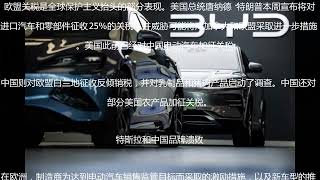 中国电动车欧洲市场份额 降至2年低点 2025.3.30