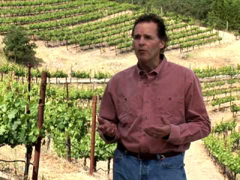 Sustainable and Solar at Shafer Vineyards