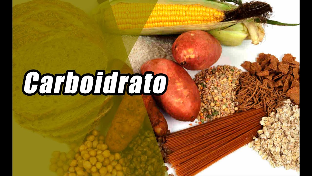 Defina Carboidratos E Cite Suas Principais Funções