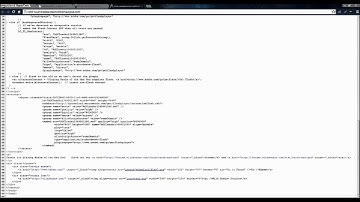 How to play RotMG in Adobeflashplayer.exe