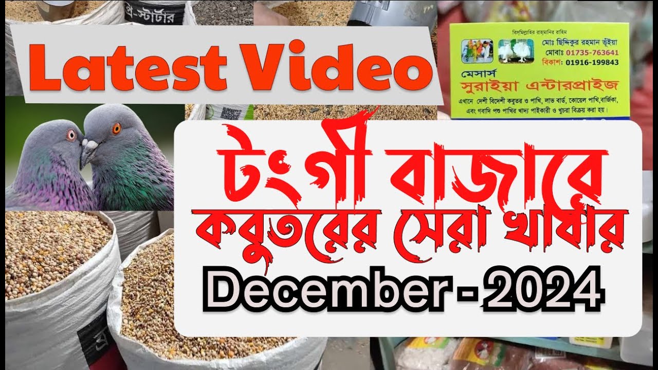 Dec 2024 টংগী বাজার কবুতরের হাটে সেরা দামে কবুতরের খাবারের কিনুন | Pigeons Food Market Tongi Bazar