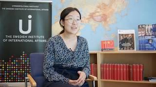 The Global China Interview Series: Motives, drivers and consequences of the BRI