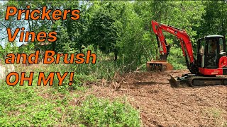 Prickers, Vines, and Brush, OH MY! - Clearing with Forestry Mulching