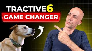 Tractive Dog 6 GPS Tracker Review | Features, Accuracy & Battery