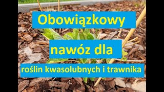 Siarczan Amonu Obowiązkowy Nawóz Przed Startem Wegetacji Dla Roślin Kwasolubnych I Trawnika