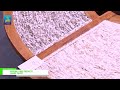 [58th IHGF Delhi Fair (Autumn) 2024] Natural Fibre Products - EARTHEN EXPORTS