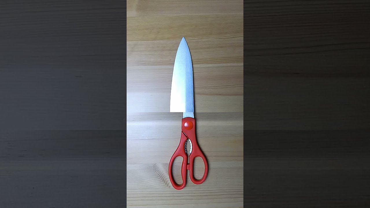 Time Freezer App  (Time Warp Scanner Made Awesome)