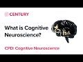 Cognitive Neuroscience in Education Quiz
