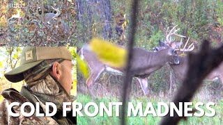 COLD FRONT MADNESS!! Massachusetts Bowhunting 2025