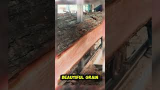Real footage of wood processing