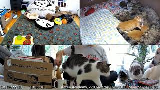 Mailbag 2019-06-22 - Faculty Sunroom