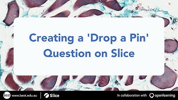 Creating a Drop a Pin Question on Slice