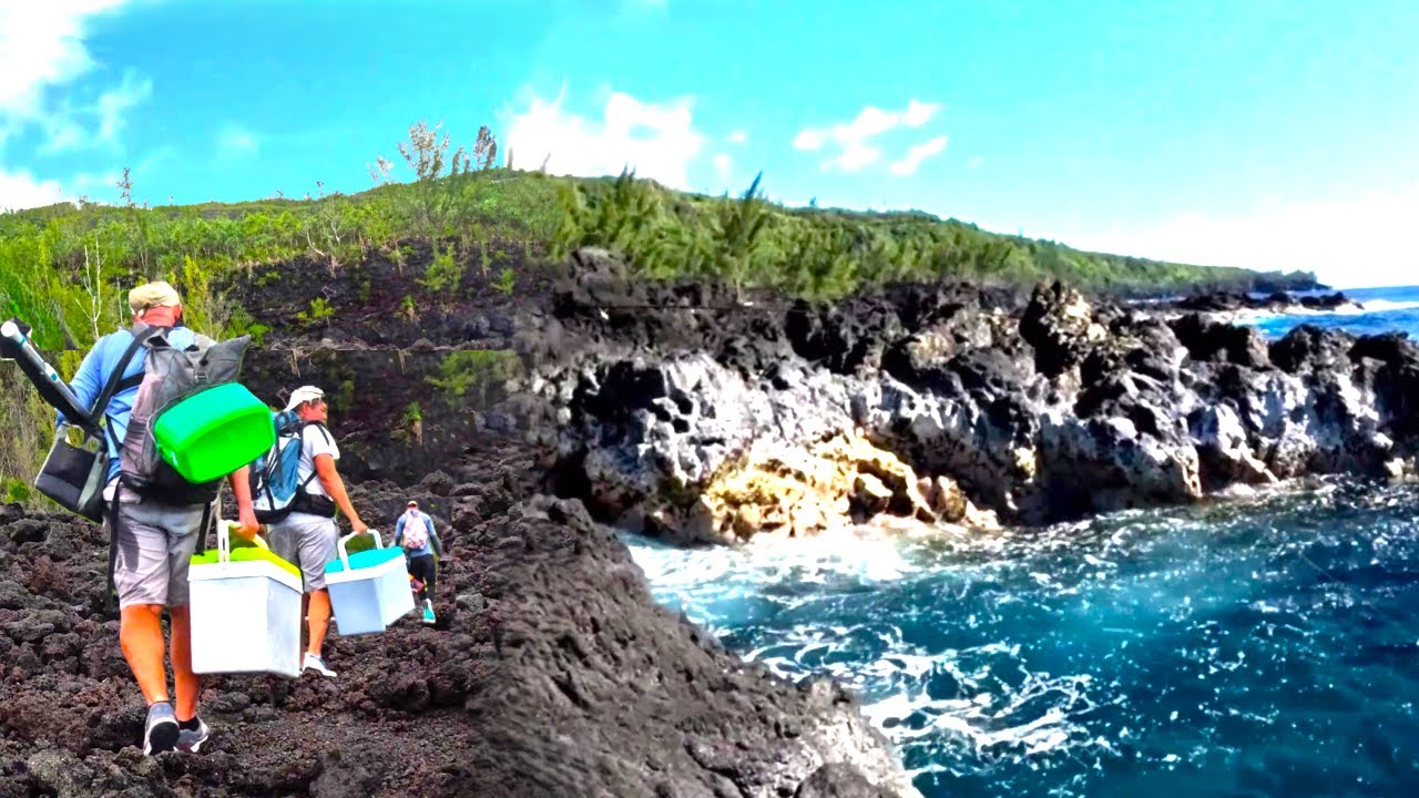 Carangue Bleue RAPALA Pêche du Bord .Vif Plomb virgule BULDO 🐟🐟