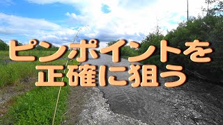 ゲーム性の高さを考えたらスレスレの天才君が多くいるメジャー河川を選びます。