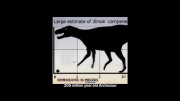 Scary extinct animals you haven’t heard of #extinctanimals #prehistoric