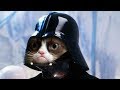 Cats and Kittens Meowing Song - Star Wars Imperial March